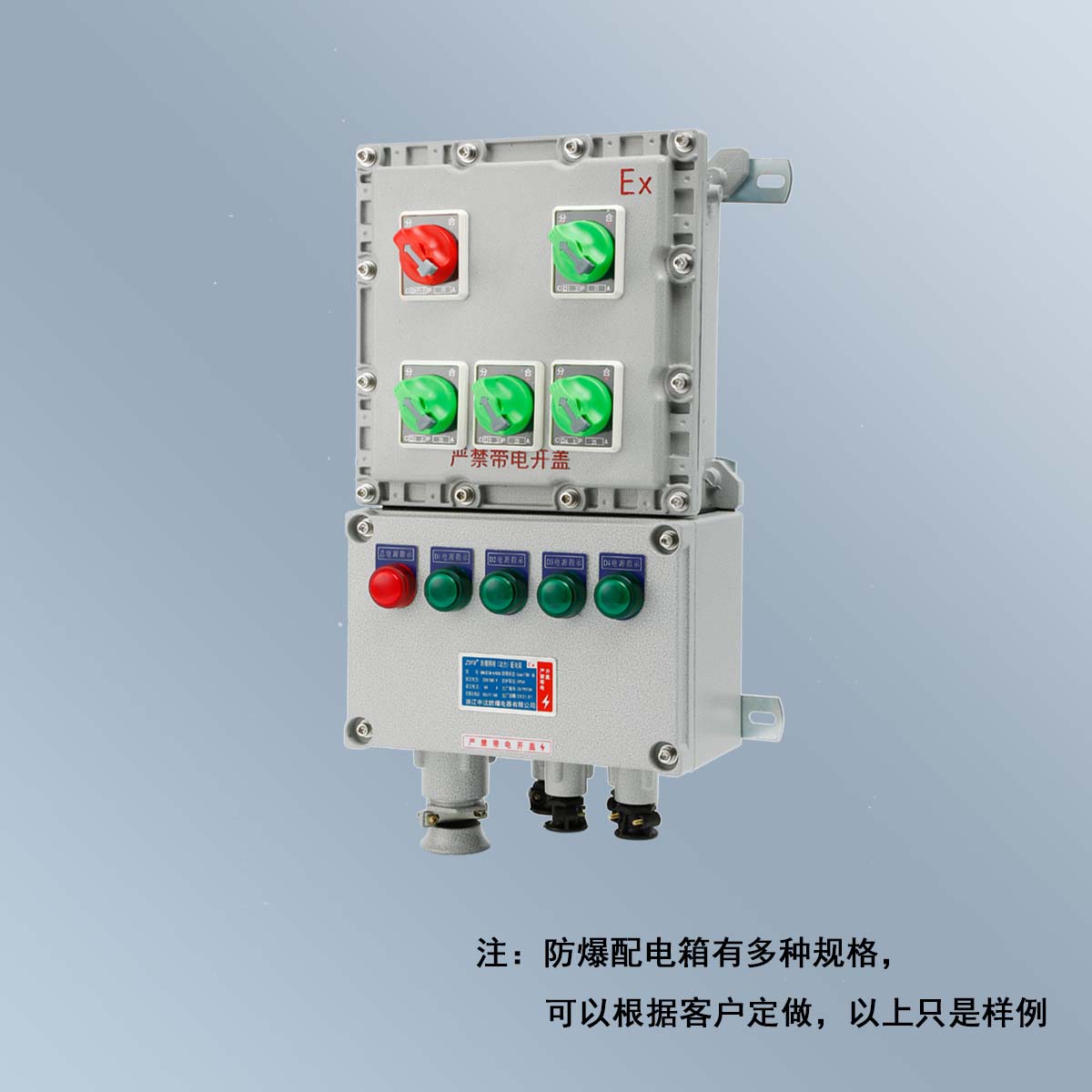 BXM(D)58 系列榴莲视频黄色网站照明(动力)配电箱 (ⅡB、ⅡC、DIP)